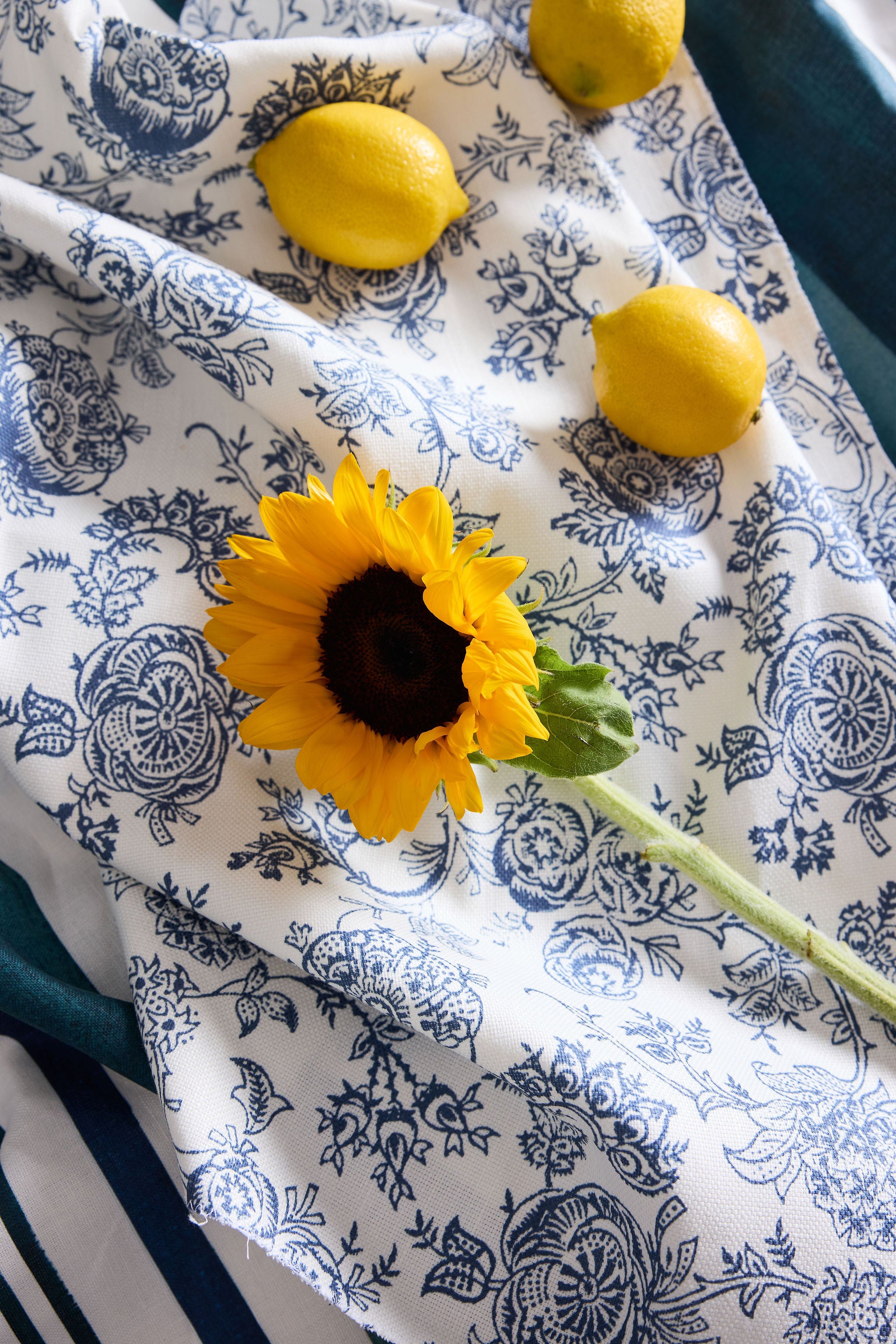 Eloquence Cotton Linen